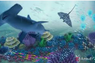 彩777ccapp最新版下载2024最新版