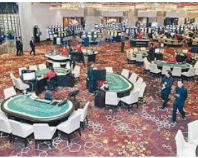 彩777ccapp最新版下载2024最新版